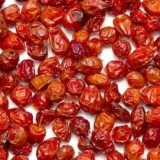 Što je korisno i kako kuhati kompot od suhih i svježih šipka